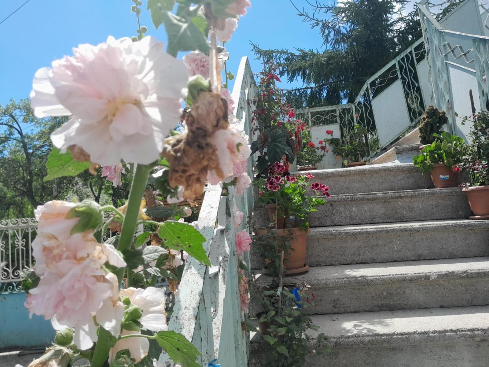 Armazi Hotel Khulo Buitenkant foto