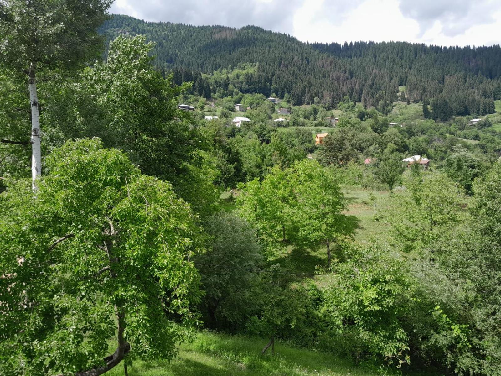 Armazi Hotel Khulo Buitenkant foto