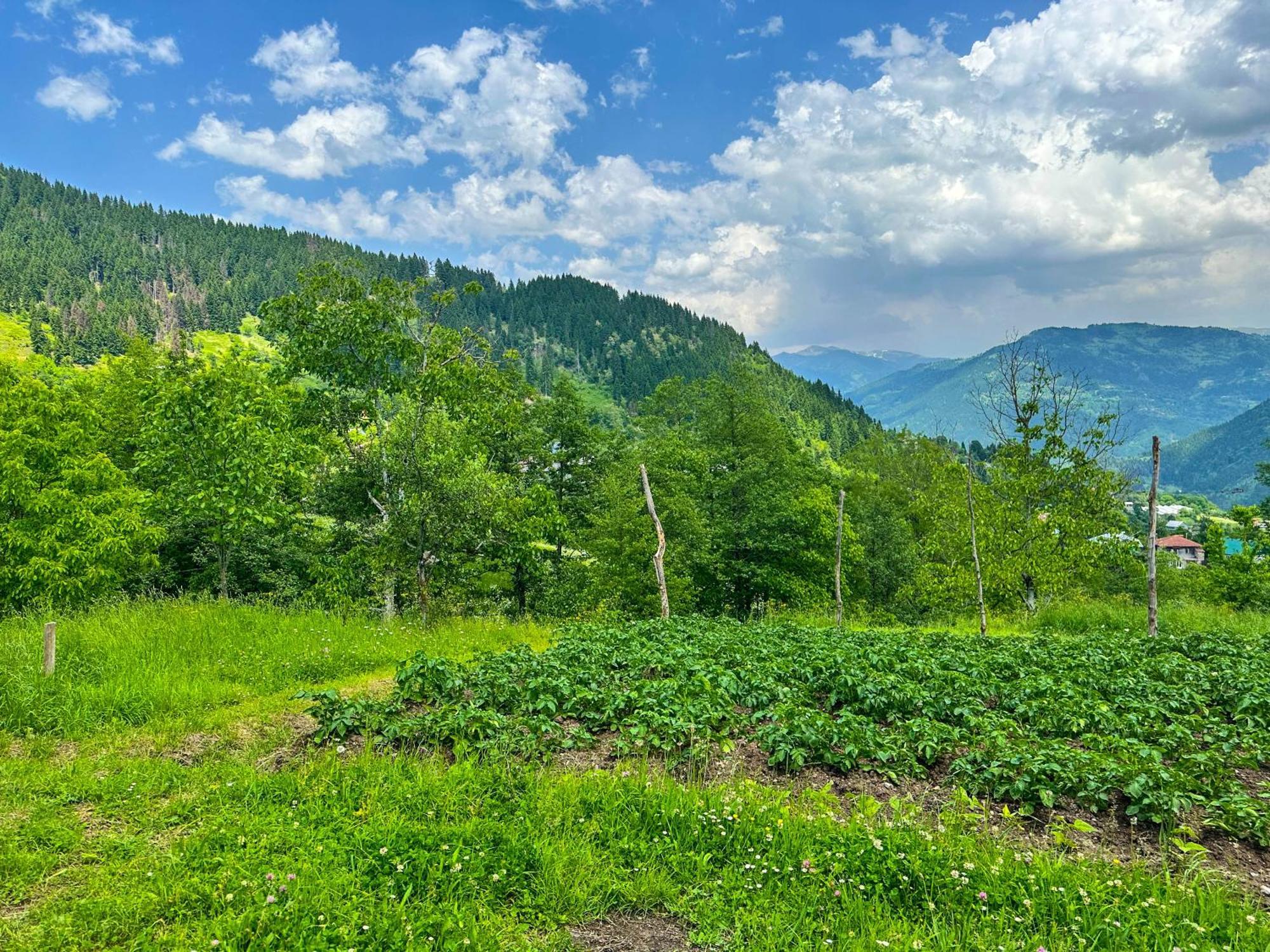 Armazi Hotel Khulo Buitenkant foto