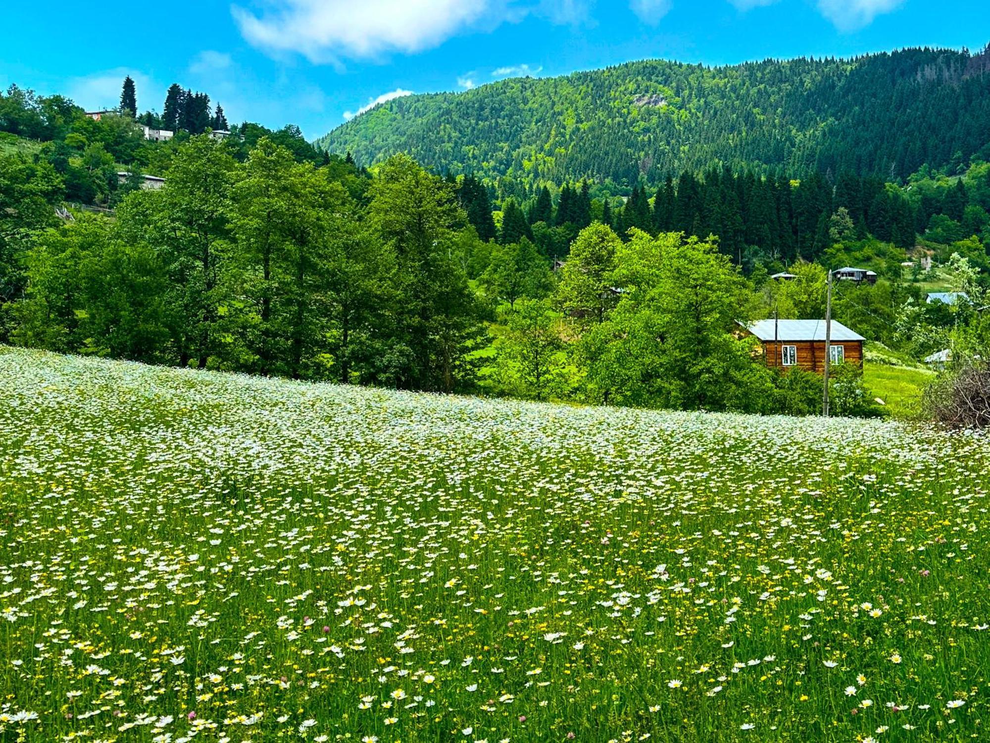 Armazi Hotel Khulo Buitenkant foto