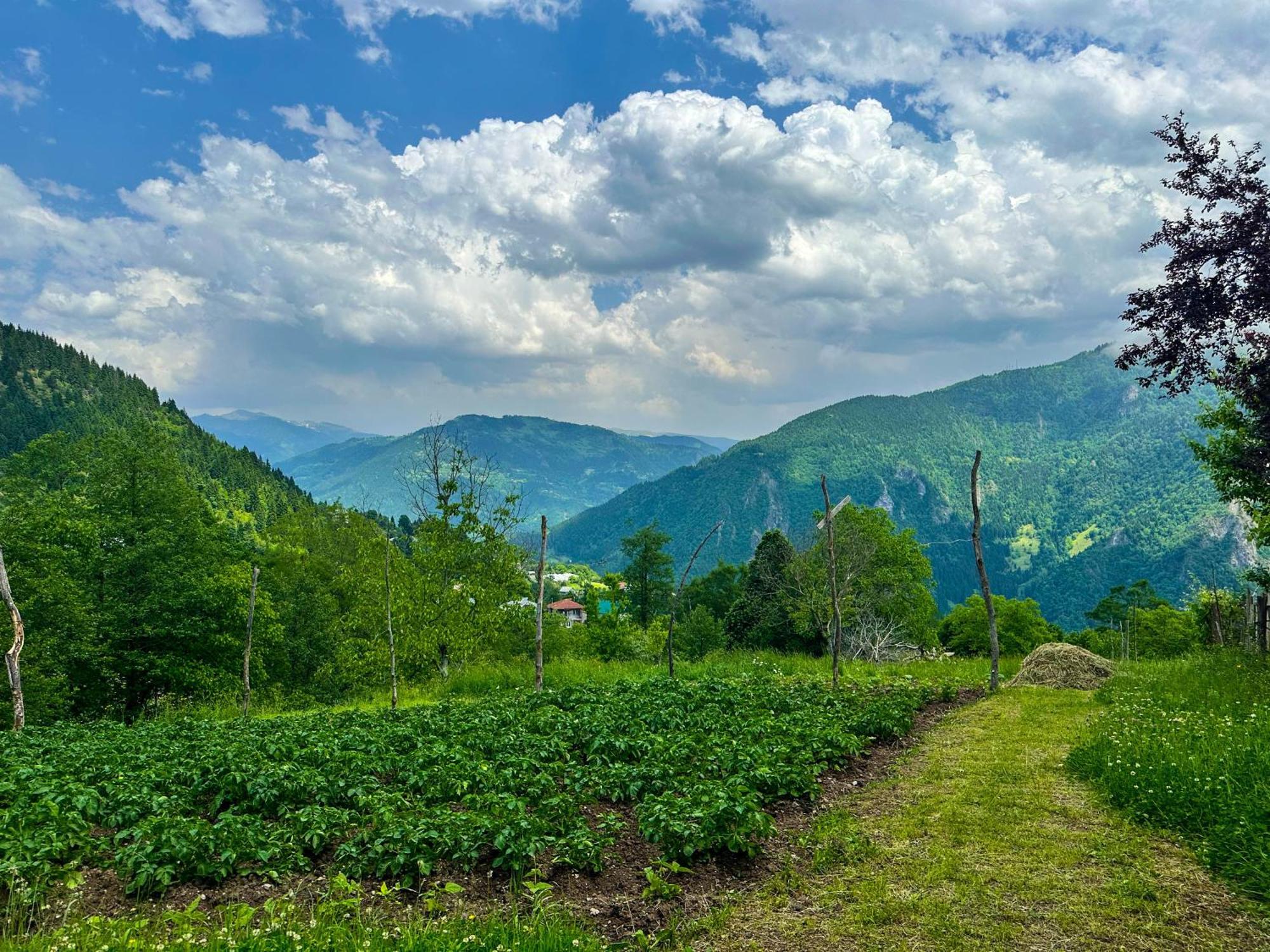 Armazi Hotel Khulo Buitenkant foto